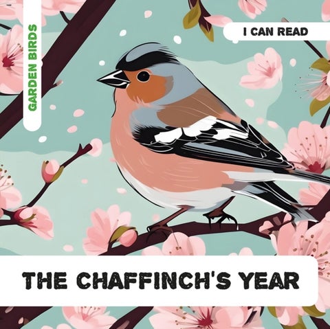 The Chaffinch's Year - Decodable Phonics Reader (Ages 5-7)