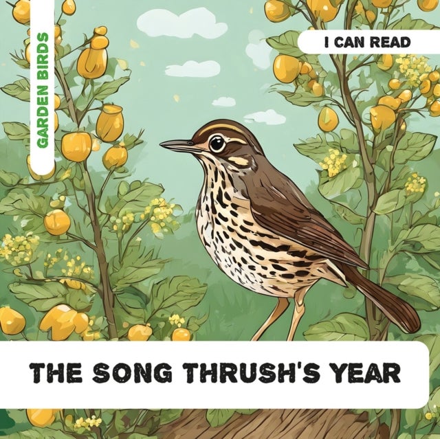 The Song Thrush's Year - Decodable Phonics Reader (Ages 5-7)
