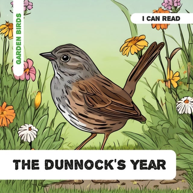 The Dunnock's Year - Decodable Phonics Reader (Ages 5-7)