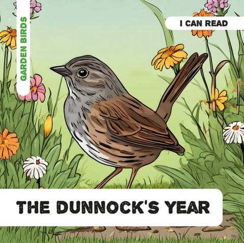 The Dunnock's Year - Decodable Phonics Reader (Ages 5-7)
