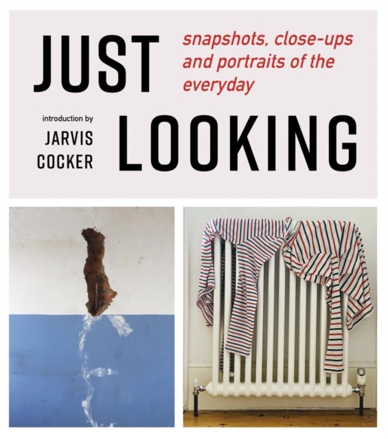 JUST LOOKING - snapshots, close-ups and portraits of the everyday