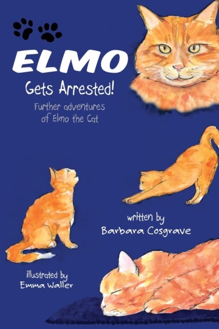 Elmo Gets Arrested! - Further adventures of Elmo the Cat