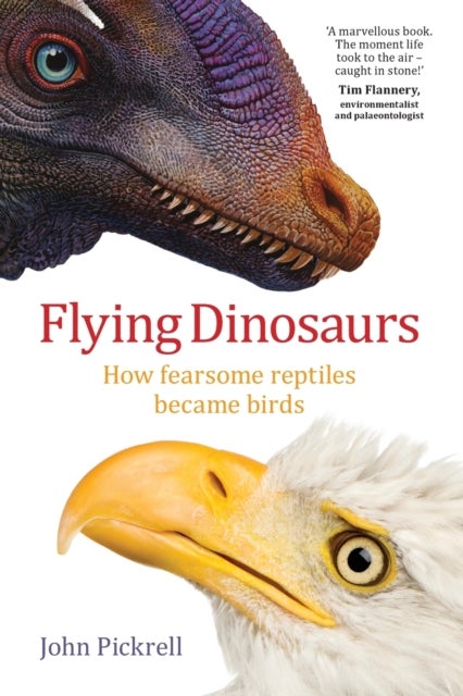 Flying Dinosaurs - How Fearsome Reptiles Became Birds