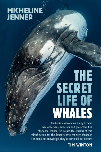 The Secret Life of Whales - A Marine Biologist Reveals All