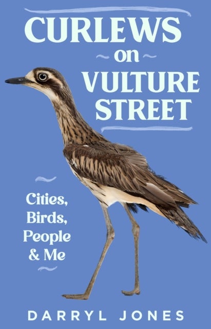 Curlews on Vulture Street - Cities, Birds, People & Me