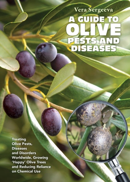 A Guide to Olive Pests and Diseases - Treating Olive Pests, Diseases and Disorders Worldwide, Growing  Happy  Olive Trees and Reducing Reliance on Chemical Use