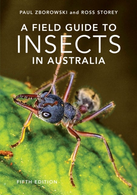 A Field Guide to Insects of Australia - Fifth Edition