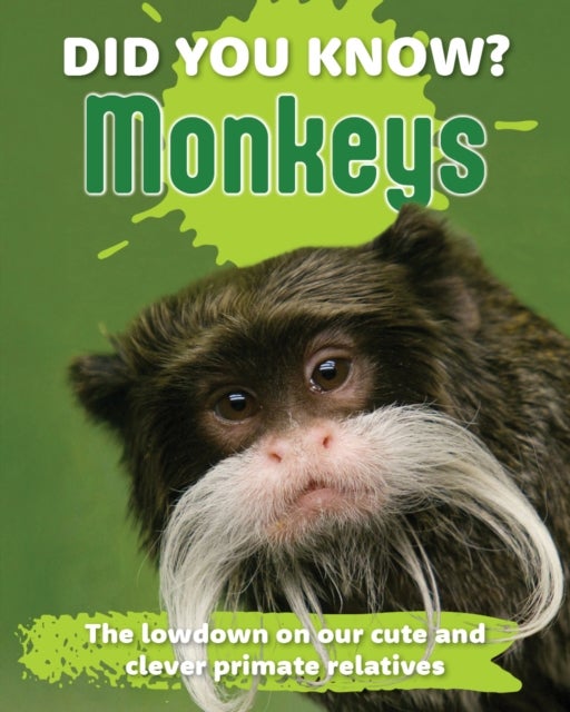 Did You Know? Monkeys - The lowdown on our cute and clever primate relatives