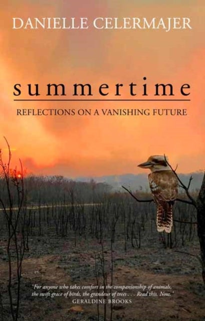 Summertime - Reflections on a Vanishing Future
