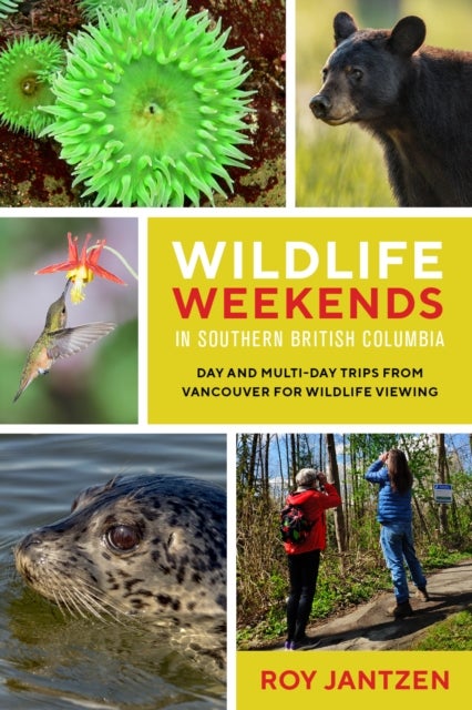 Wildlife Weekends in Southern British Columbia - Day and Multi-day Trips from Vancouver for Wildlife Viewing