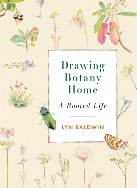 Drawing Botany Home - A Rooted Life