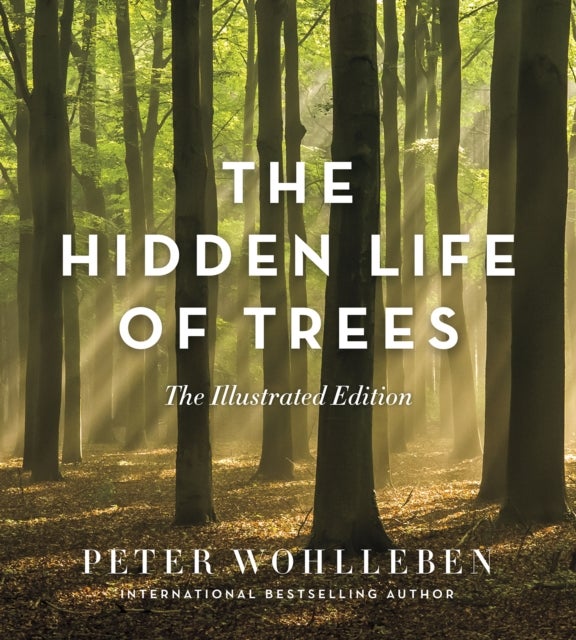 The Hidden Life of Trees: The Illustrated Edition - The Illustrated Edition