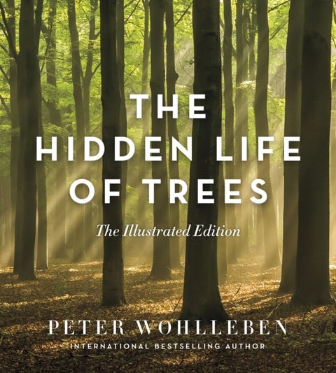 The Hidden Life of Trees: The Illustrated Edition - The Illustrated Edition