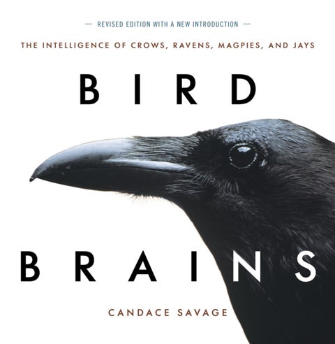 Bird Brains - The Intelligence of Crows, Ravens, Magpies, and Jays
