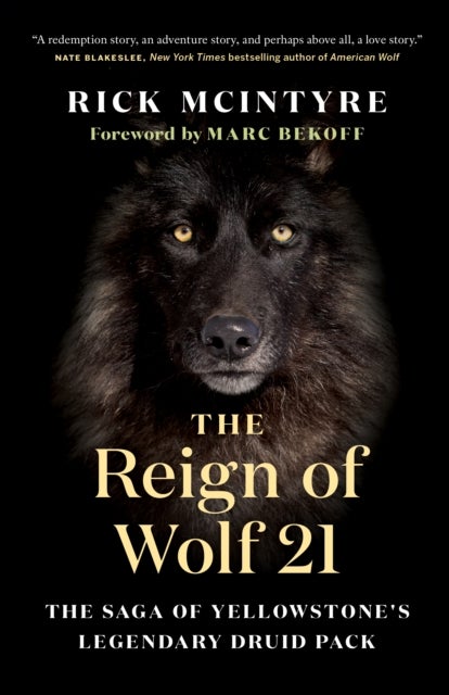 The Reign of Wolf 21 - The Saga of Yellowstone's Legendary Druid Pack