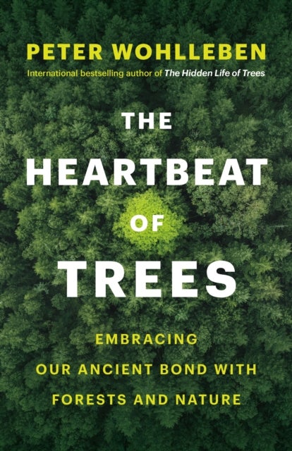 The Heartbeat of Trees - Embracing Our Ancient Bond with Forests and Nature