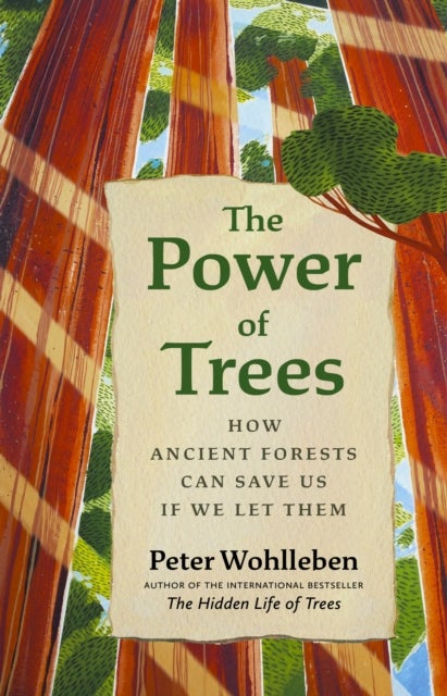 The Power of Trees - How Ancient Forests Can Save Us if We Let Them