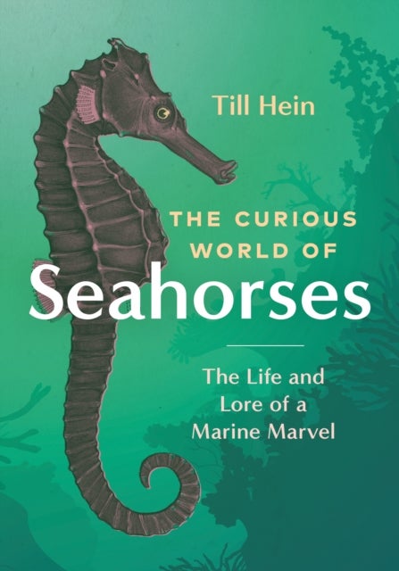 The Curious World of Seahorses - The Life and Lore of a Marine Marvel