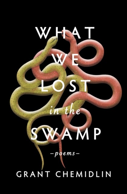 What We Lost in the Swamp - Poems