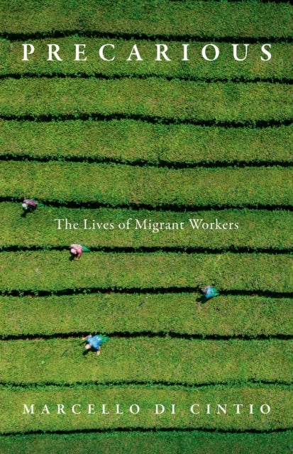 Precarious - The Secret Lives of Migrant Workers
