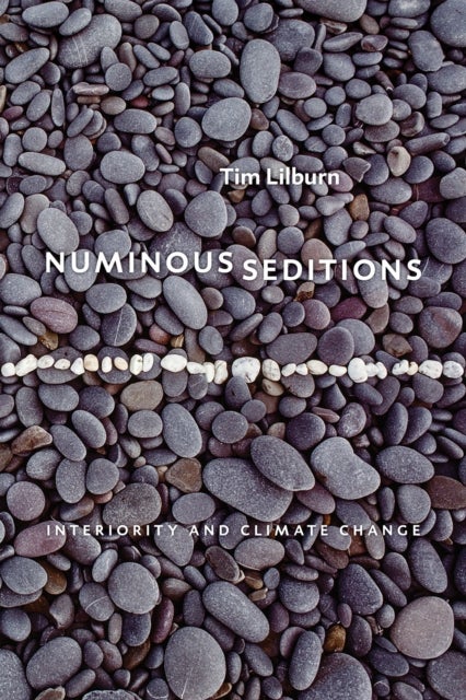 Numinous Seditions - Interiority and Climate Change