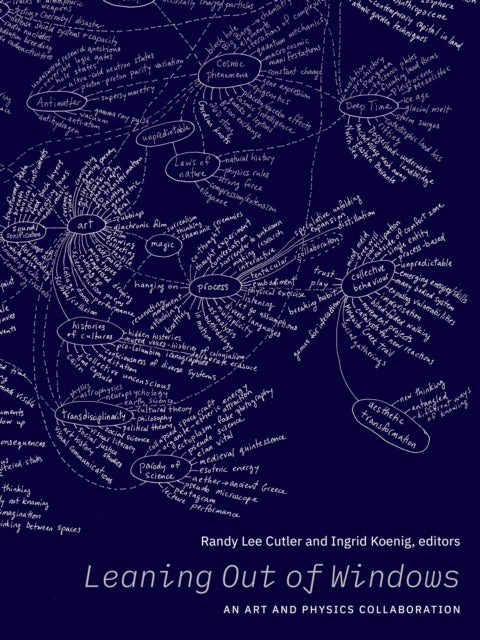 Leaning Out of Windows - An Art and Physics Collaboration