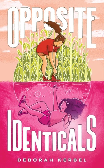 Opposite Identicals - A Novel
