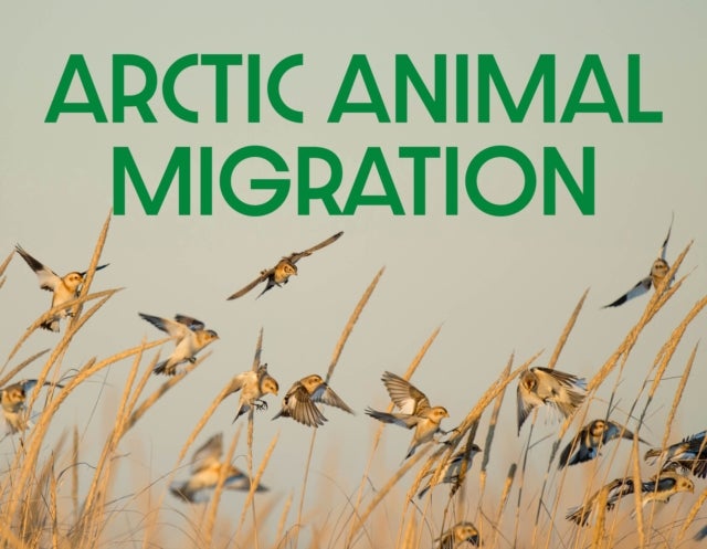 Arctic Animal Migration - English Edition