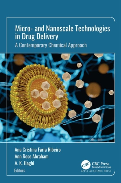 Micro- and Nanoscale Technologies in Drug Delivery - A Contemporary Chemical Approach