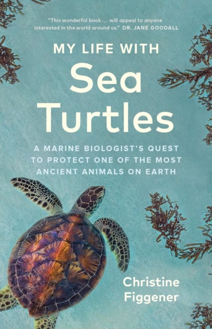 My Life with Sea Turtles - A Marine Biologist's Quest to Protect One of the Most Ancient Animals on Earth