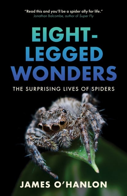 Eight-Legged Wonders - The Surprising Lives of Spiders