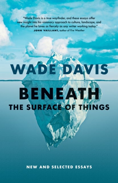 Beneath the Surface of Things - New and Selected Essays