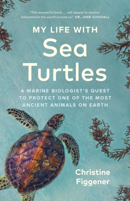 My Life with Sea Turtles - A Marine Biologist's Quest to Protect One of the Most Ancient Animals on Earth