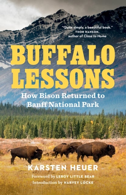 Buffalo Lessons - How Bison Returned to Banff National Park