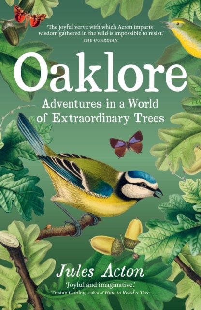 Oaklore - Adventures in a World of Extraordinary Trees