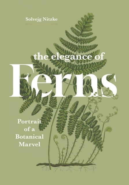 The Elegance of Ferns - Portrait of a Botanical Marvel