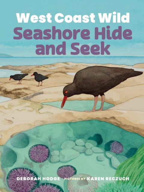 West Coast Wild Seashore Hide and Seek