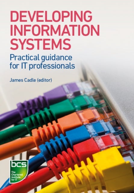 Developing Information Systems - Practical guidance for IT professionals