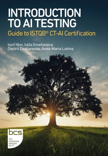 Introduction to AI Testing - Guide to ISTQB® CT-AI Certification