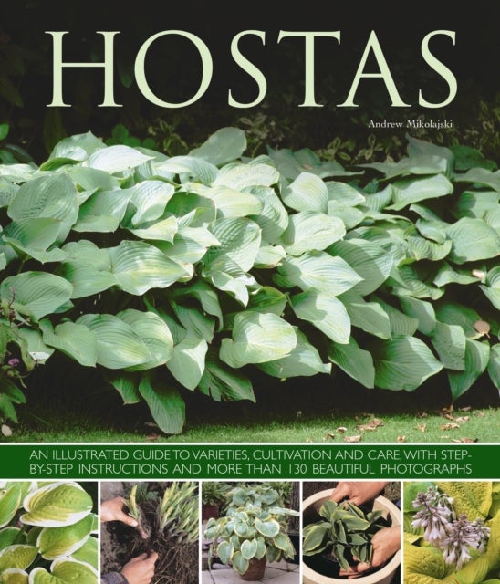 Hostas - an Illustrated Guide to Varieties, Cultivation and Care, with Step-by-step Instructions and More Than 130 Beautiful Photographs