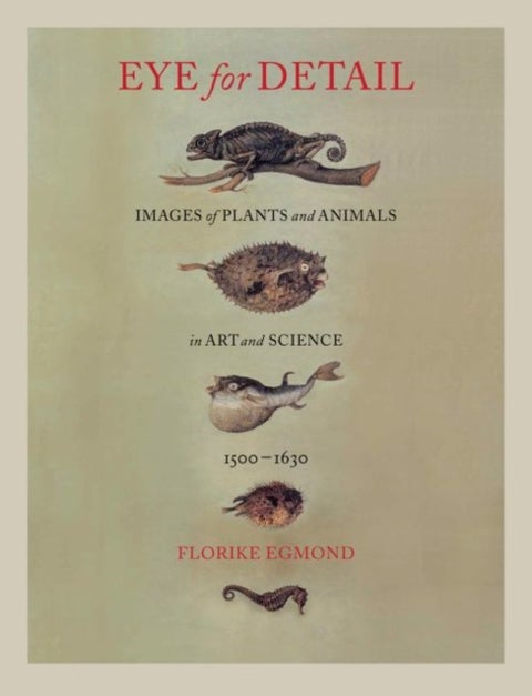 Eye for Detail - Images of Plants and Animals in Art and Science, 1500-1630
