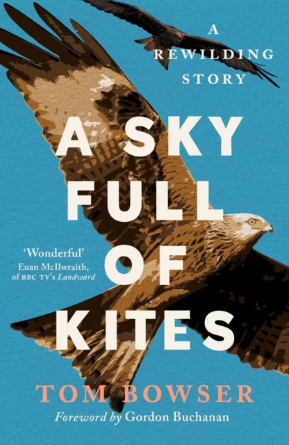 A Sky Full of Kites - A Rewilding Story