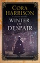 Winter of Despair