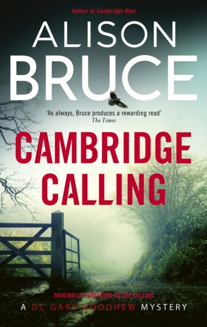 Cambridge Calling - Book 2 of the Darkness Rising Series