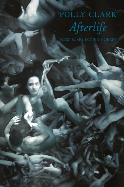 Afterlife - New & Selected Poems