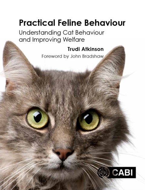 Practical Feline Behaviour - Understanding Cat Behaviour and Improving Welfare
