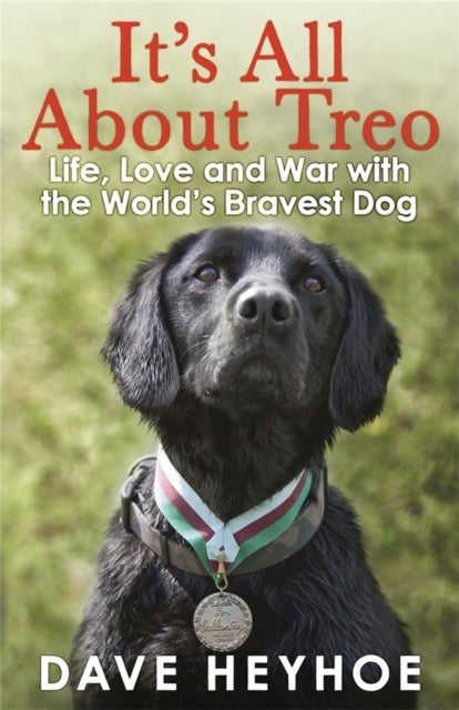 It's All About Treo - Life and War with the World's Bravest Dog