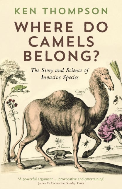 Where Do Camels Belong? - The story and science of invasive species