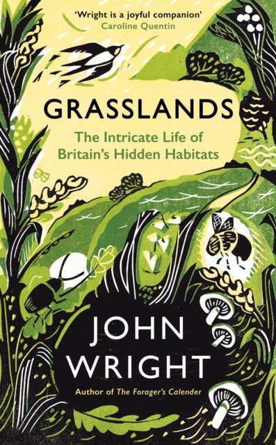 Grasslands - The Intricate Life of Britain's Hidden Habitats