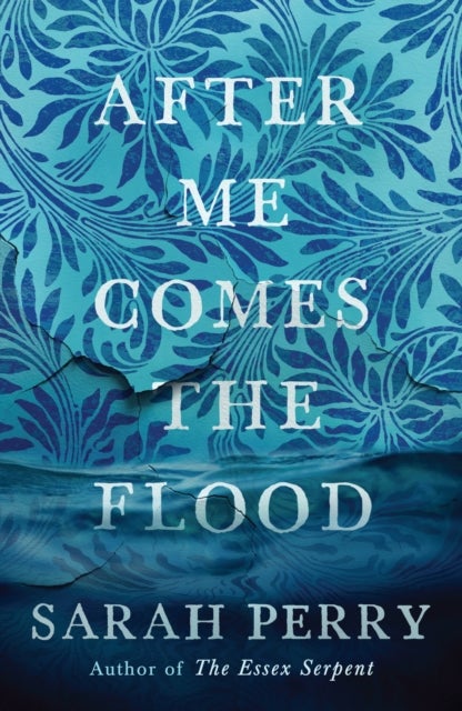 After Me Comes the Flood - From the author of The Essex Serpent